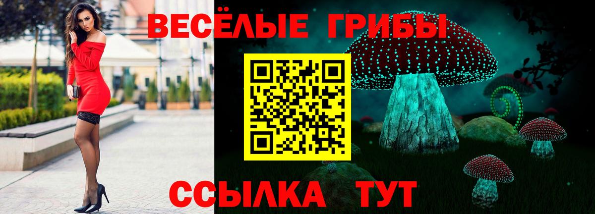 Псилоцибиновые грибы Magic Shrooms  Вход с VPN  Спасск-Дальний 